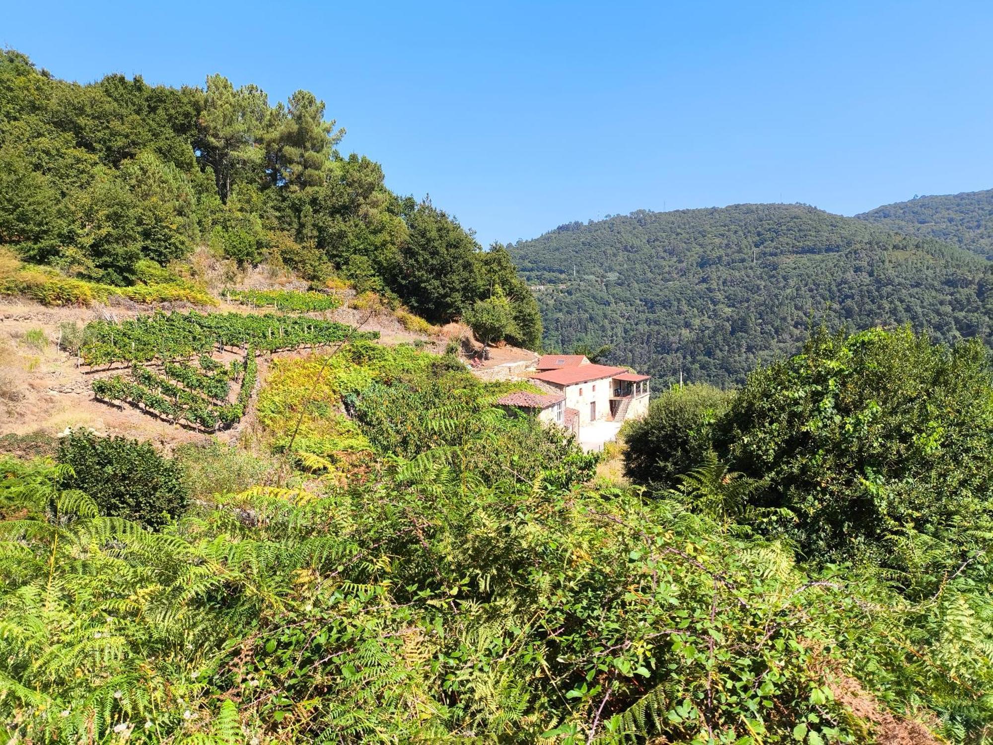 Peares Xiravai-Ribeira Sacra 빌라 외부 사진