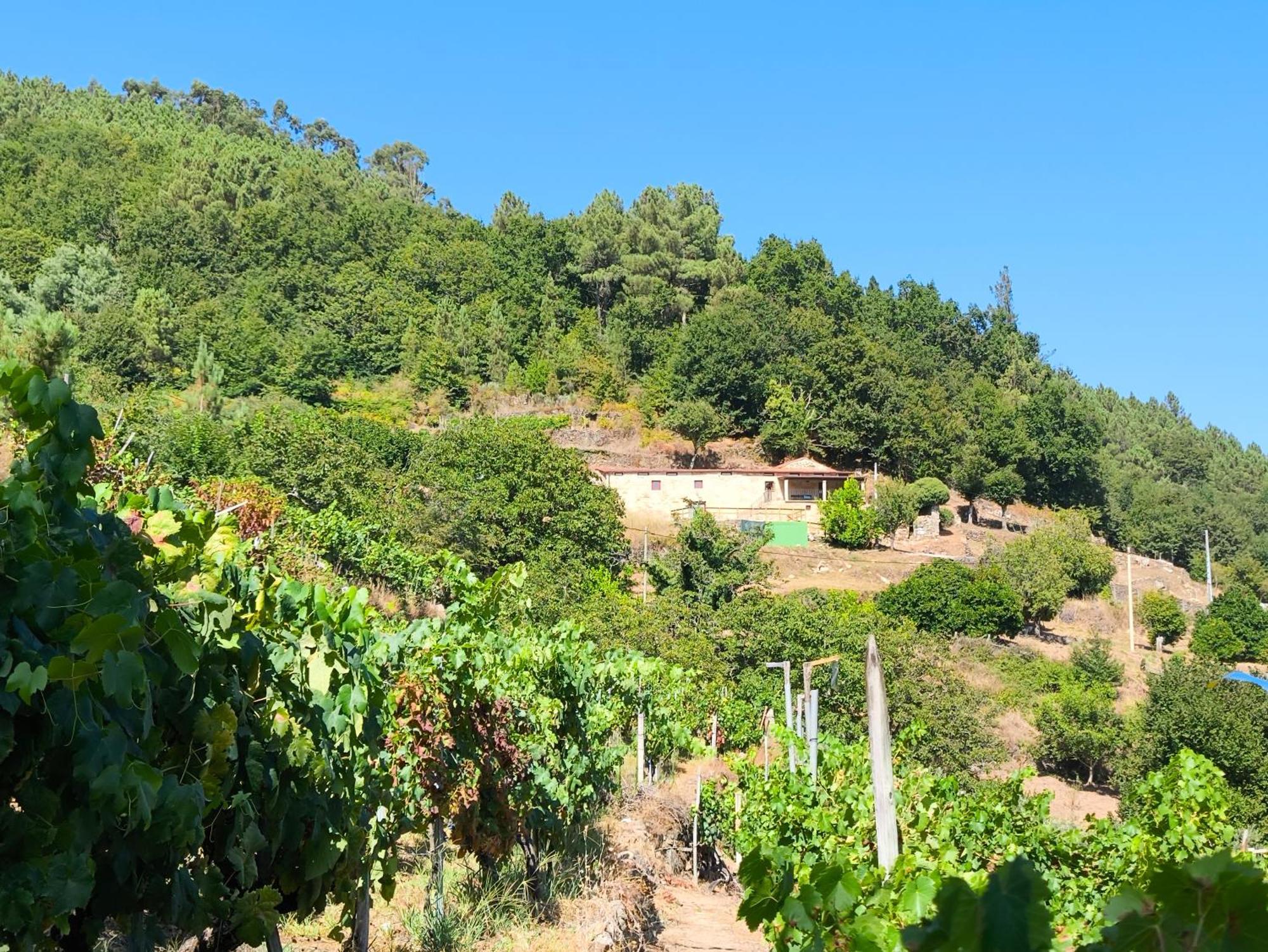 Peares Xiravai-Ribeira Sacra 빌라 외부 사진